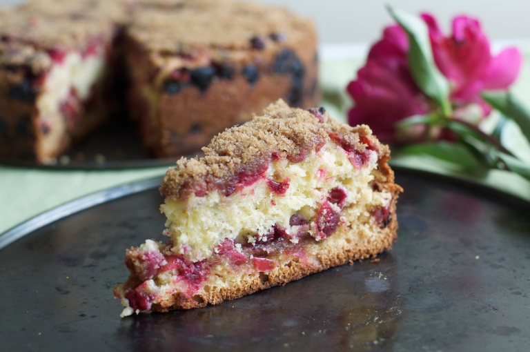 Cranberry Streusel Coffee Cake – A Pat &amp; A Pinch